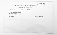 Image Associated With the Occurence